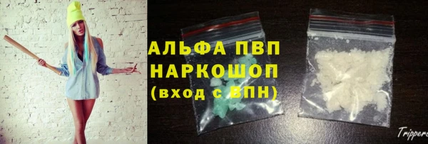 СК Новодвинск
