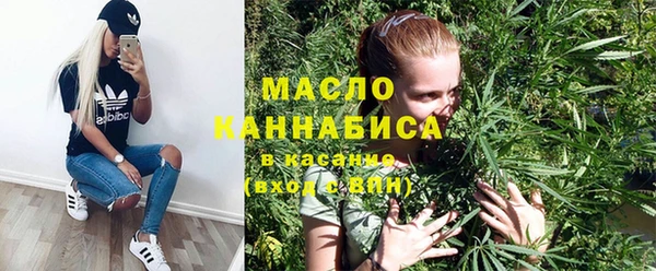 дурь Няндома