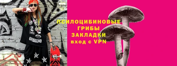 дурь Няндома