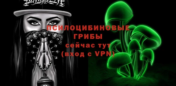 СК Новодвинск