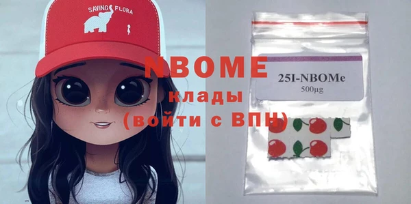 дурь Няндома