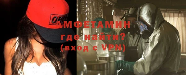 дурь Няндома