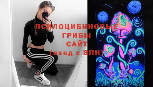трава Нязепетровск