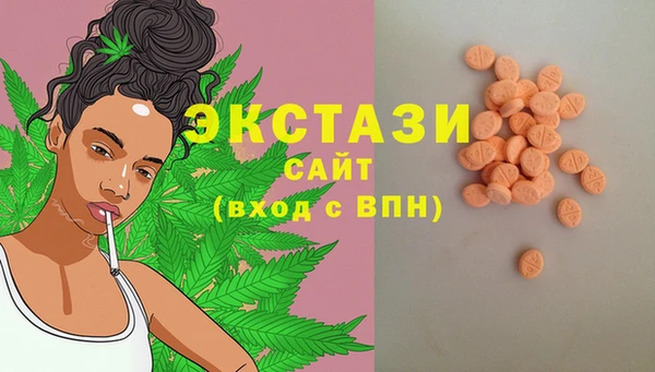 дурь Няндома