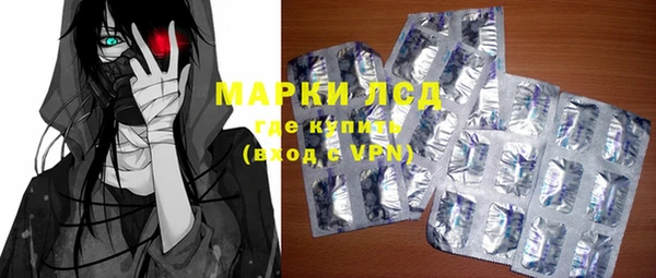 СК Новодвинск